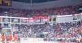 Basket 11 2223 fans.jpg